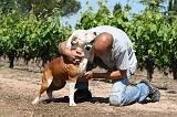 ADULTE ET CHIEN 325